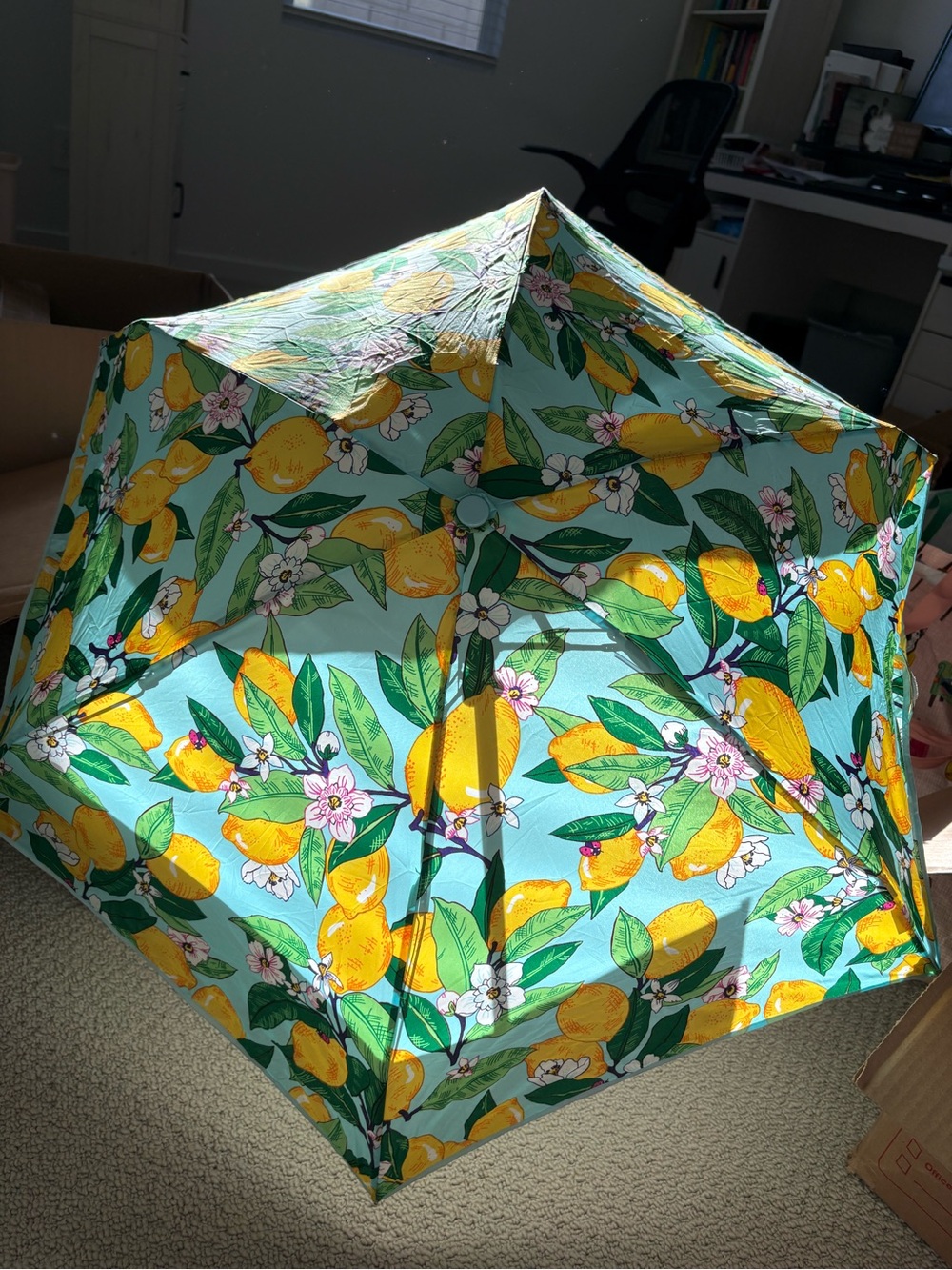 Vera Bradley Lemon Umbrella